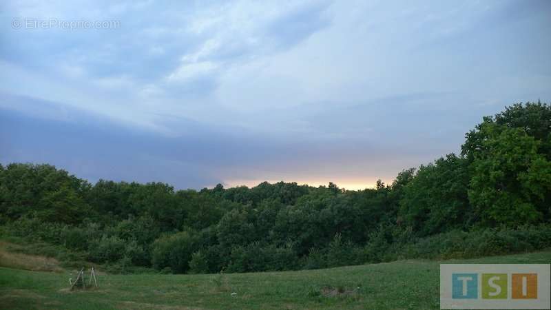 Terrain à BOULOGNE-SUR-GESSE