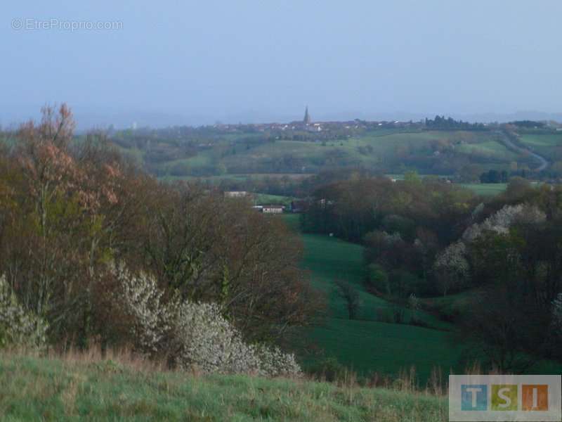 Terrain à BOULOGNE-SUR-GESSE