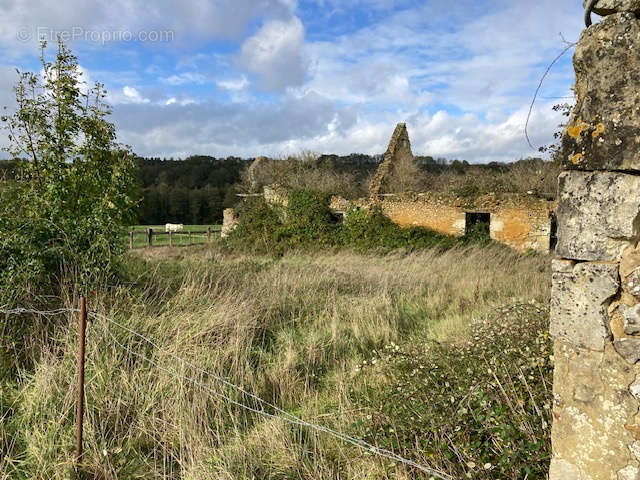 Maison à CETON