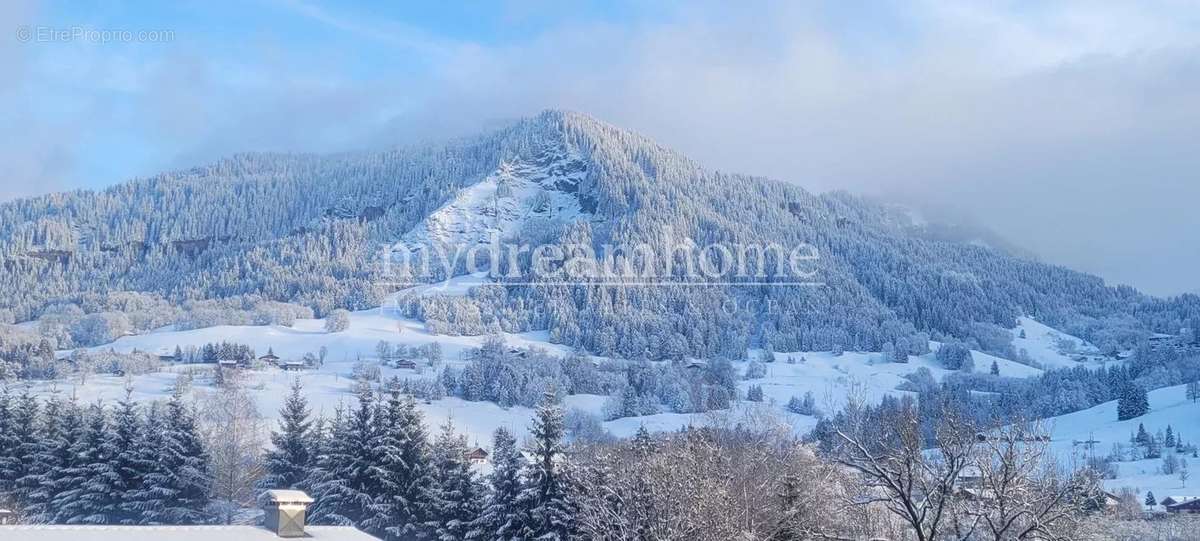 Appartement à PRAZ-SUR-ARLY