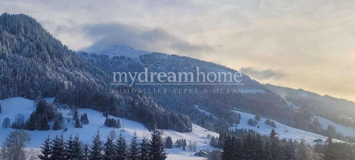 Appartement à PRAZ-SUR-ARLY