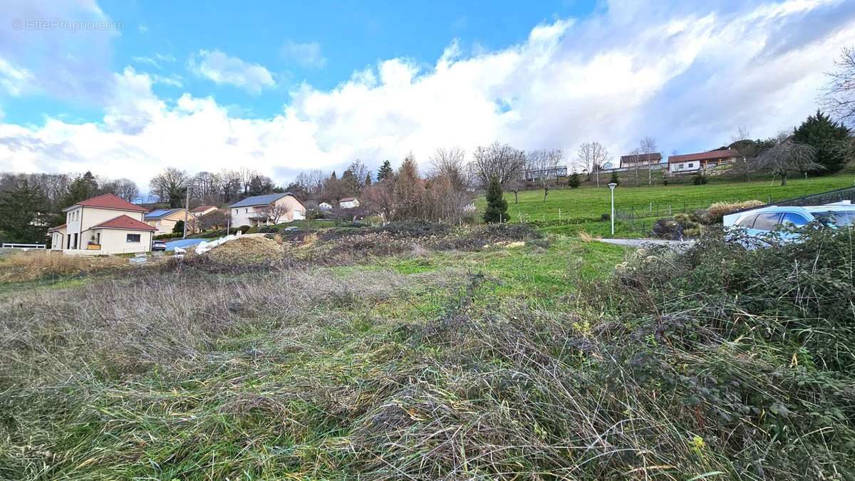 Terrain à SAINT-GENIX-SUR-GUIERS