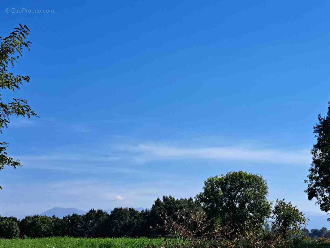 Terrain à VILLENEUVE-LECUSSAN