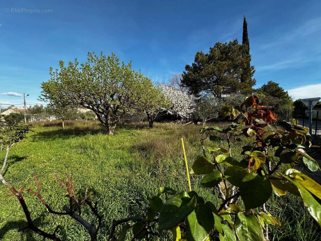 Terrain à MAZAN