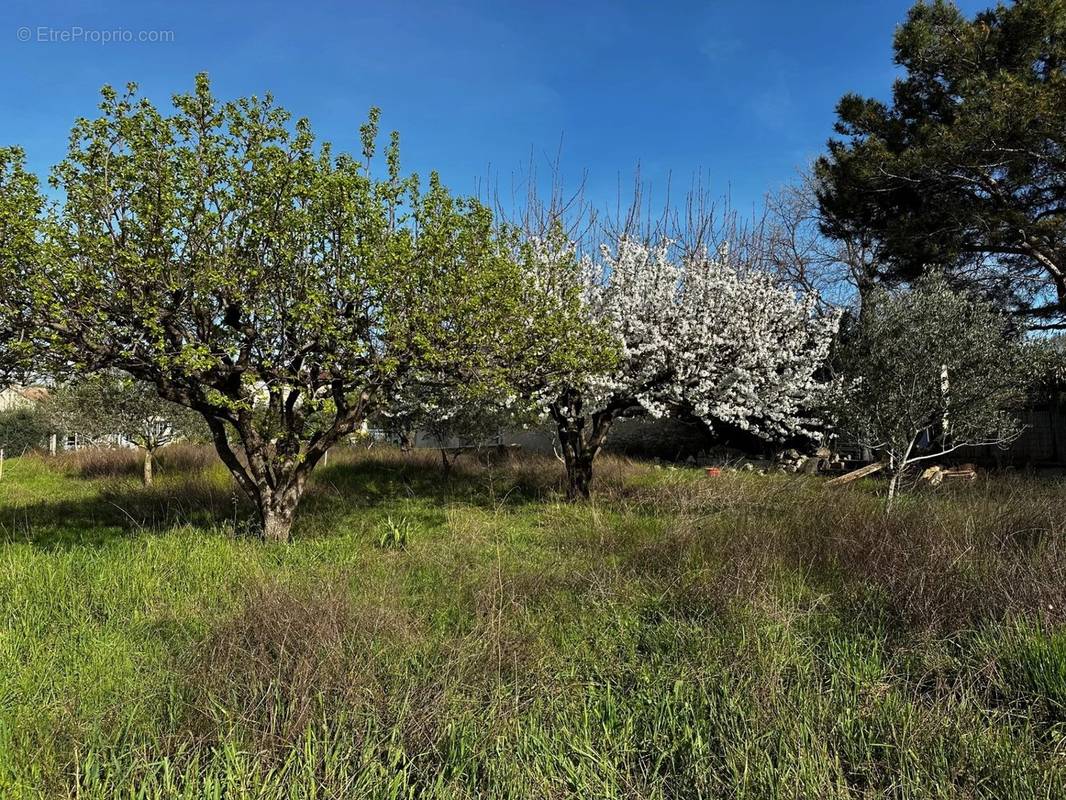 Terrain à MAZAN