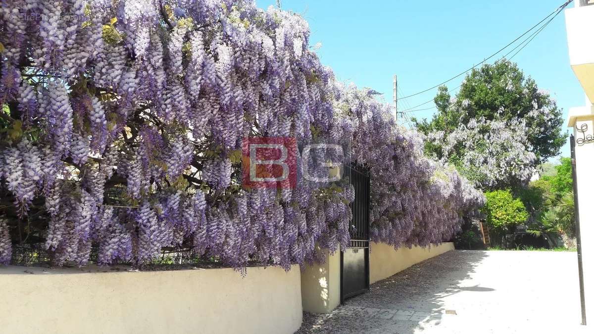 Maison à ANTIBES