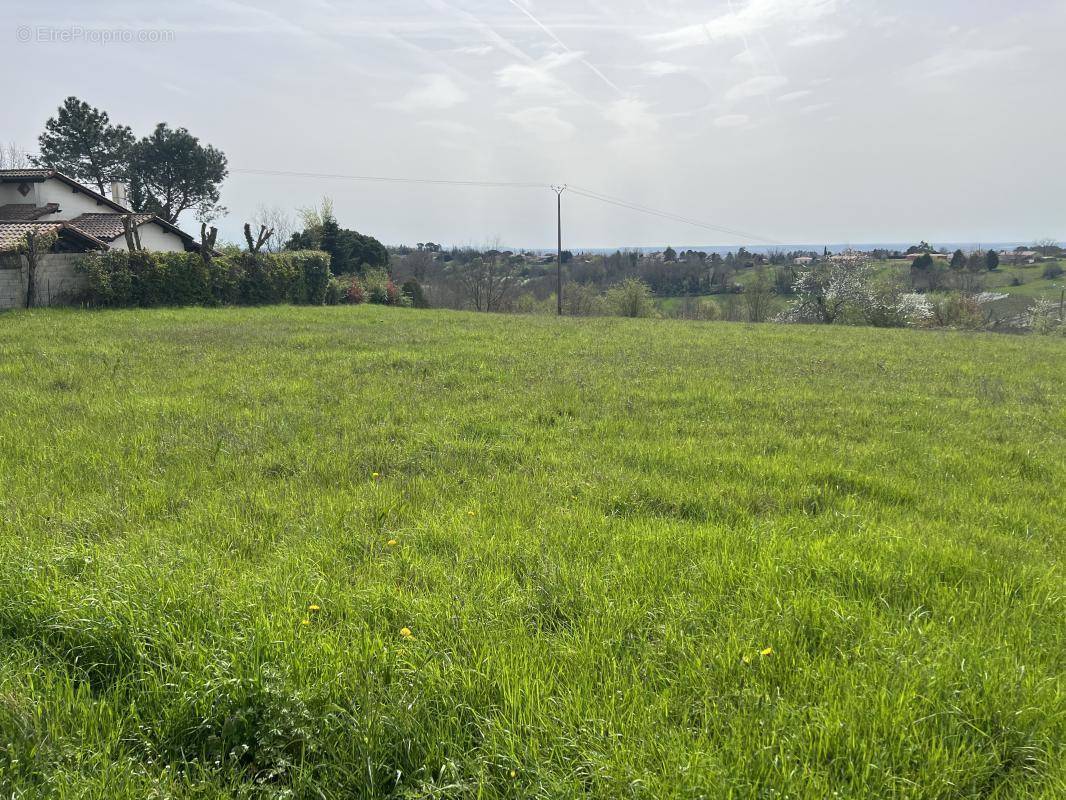 Terrain à MOISSAC