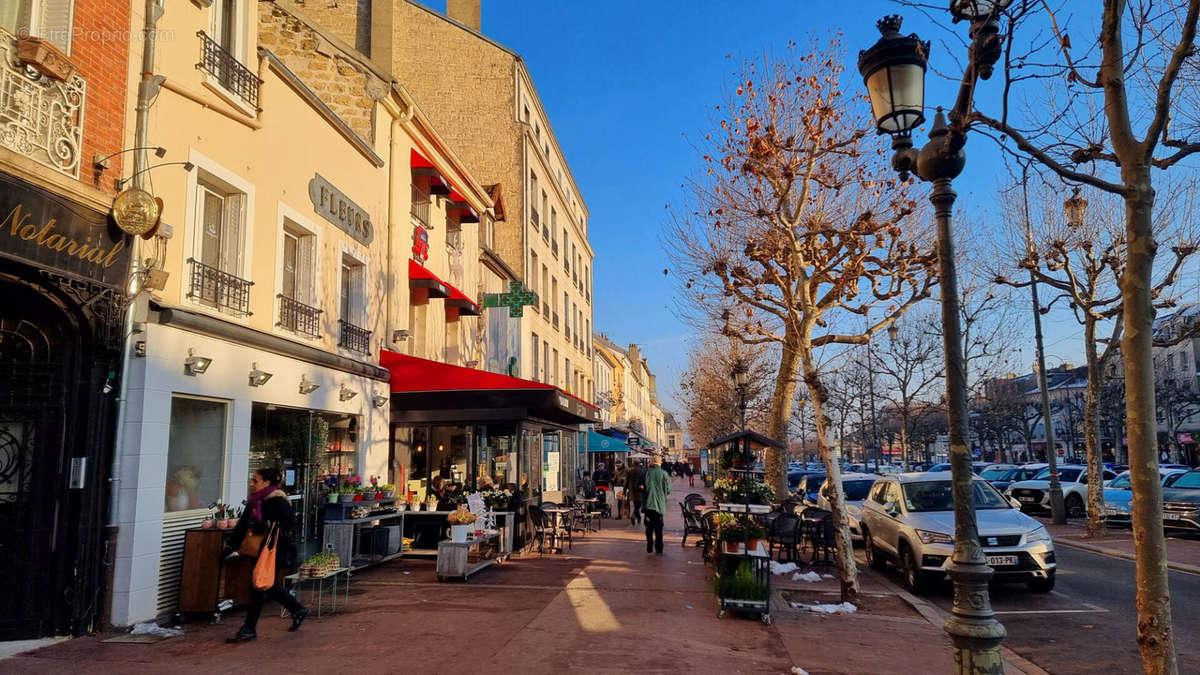 Commerce à MAISONS-LAFFITTE