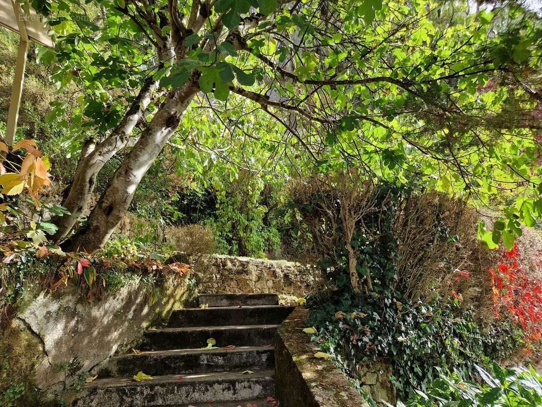 Jardin, terrasses - Maison à TAMNIES