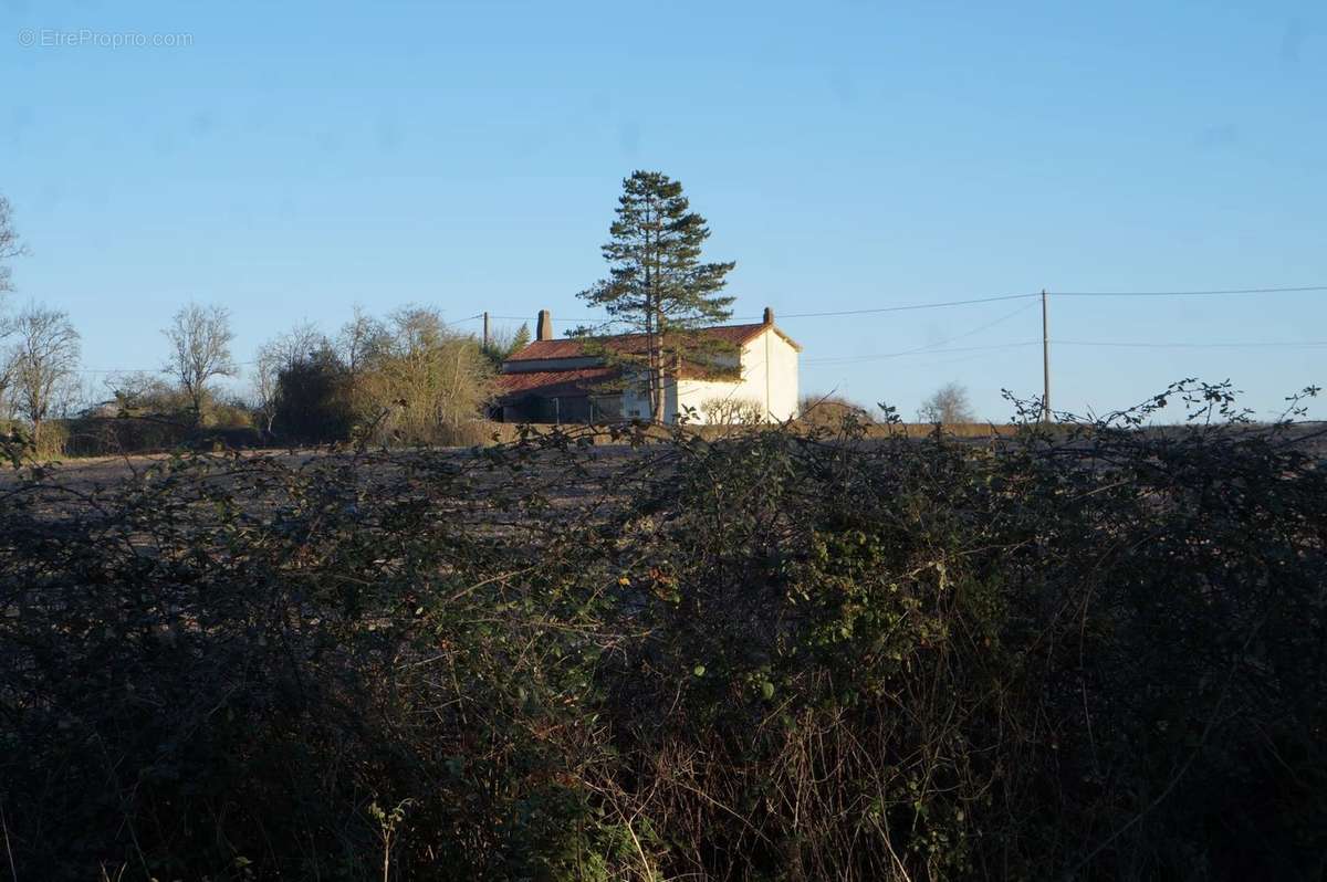 Maison à PUY-DE-SERRE