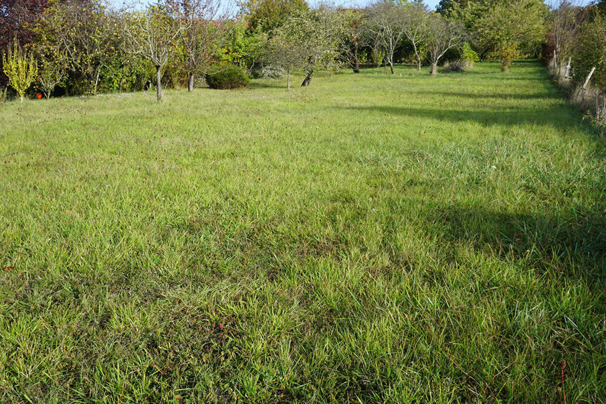 Terrain à CIVRAY-DE-TOURAINE