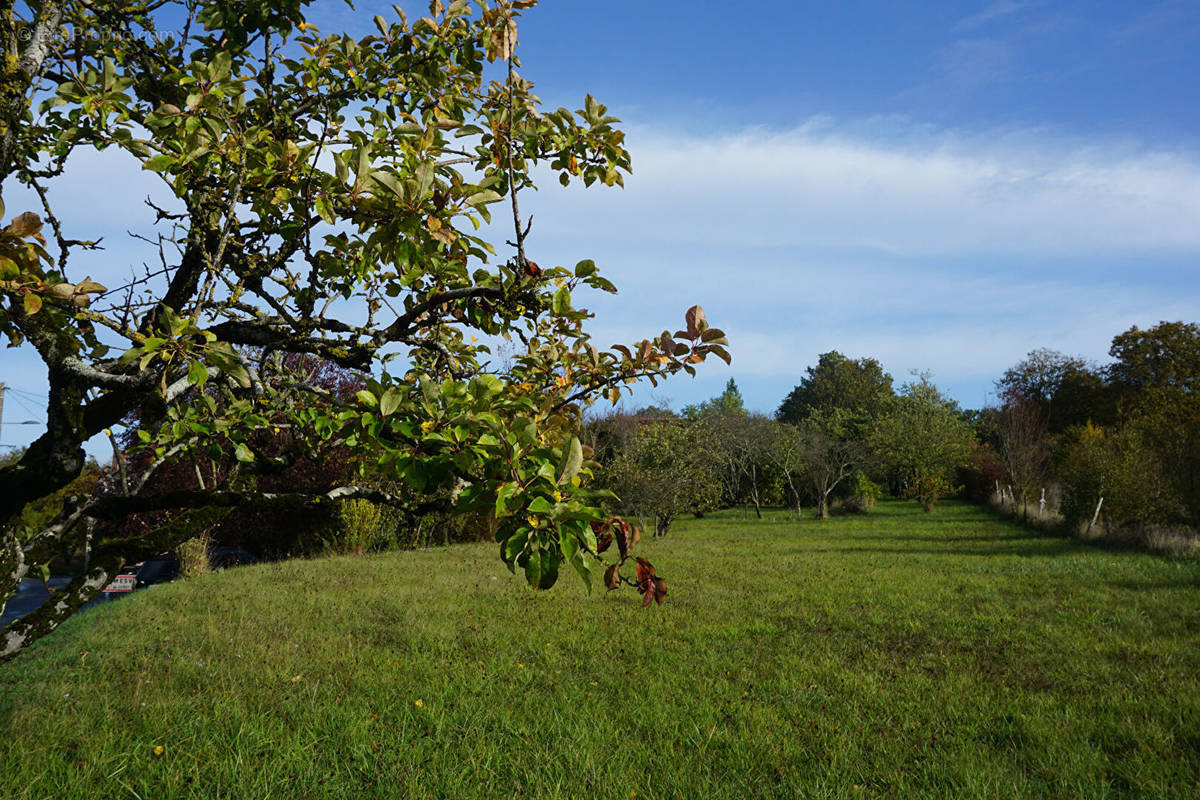 Terrain à CIVRAY-DE-TOURAINE