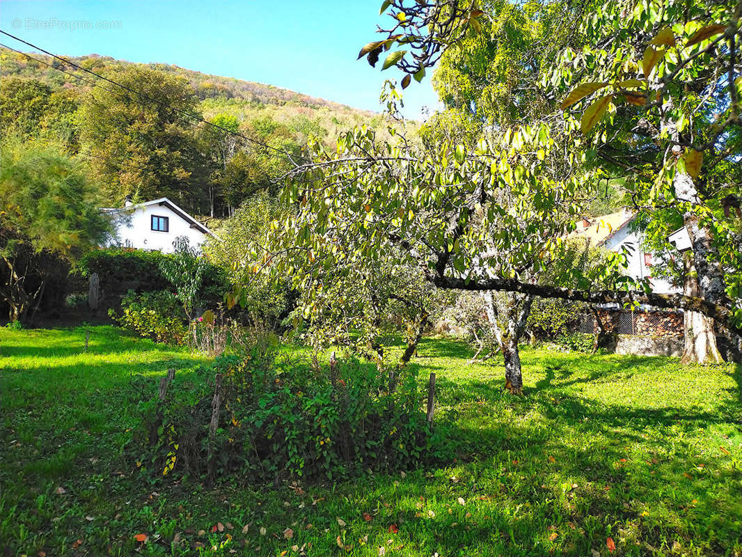 Maison à CHANAY