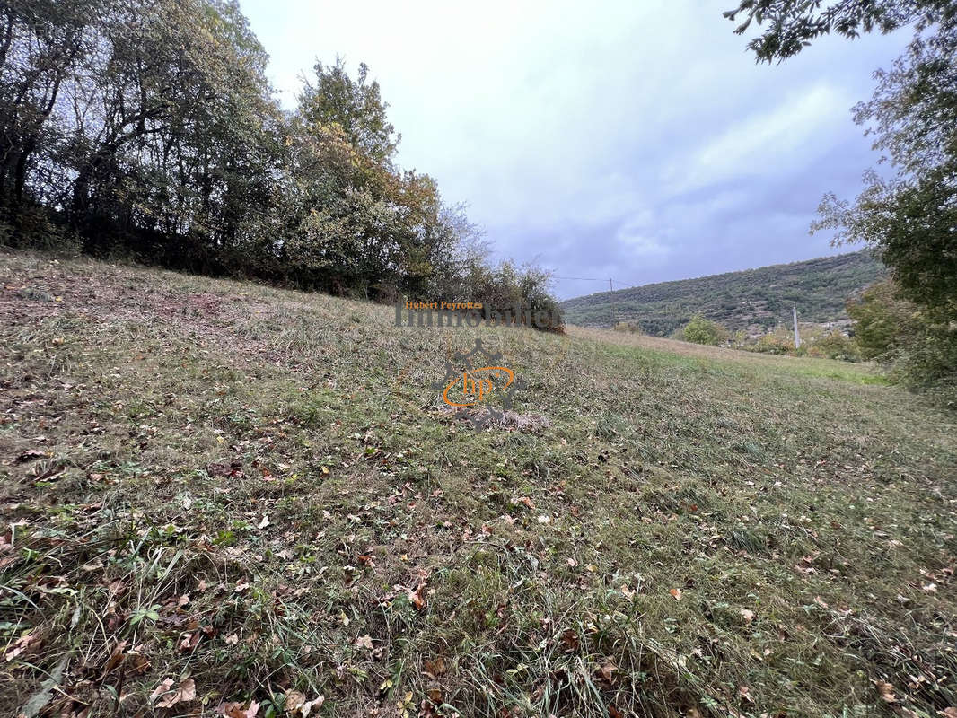 Terrain à SAINT-AFFRIQUE