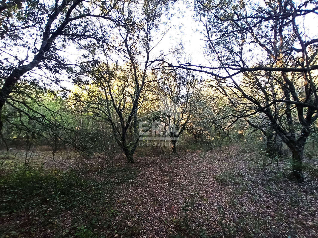 Terrain à CARPENTRAS