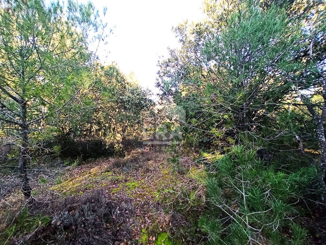 Terrain à CARPENTRAS