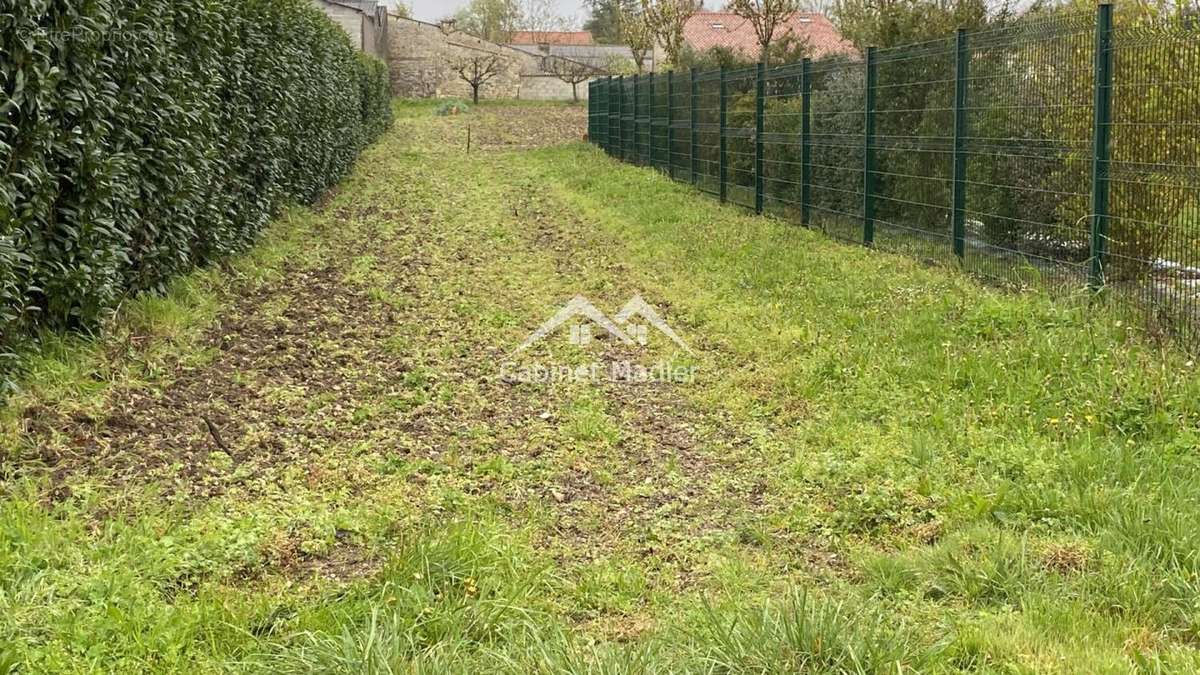 Allée  - Terrain à SAINT-JEAN-D&#039;ANGELY