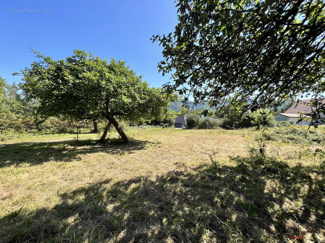 Terrain à LUTZELHOUSE