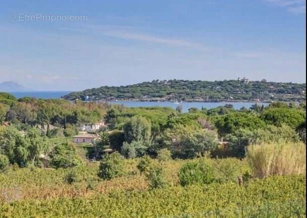 Maison à SAINT-TROPEZ