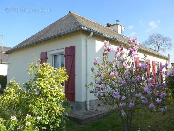 Maison à SAINT-DOMINEUC