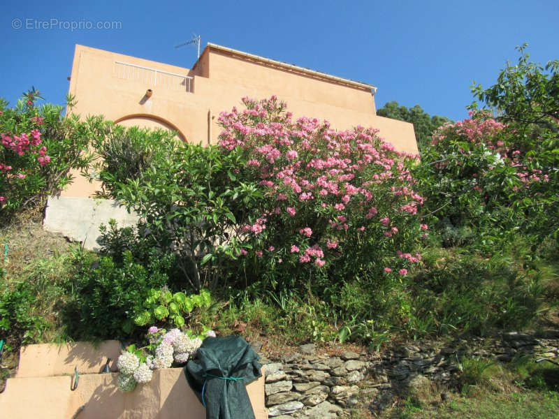 Maison à SAINT-FLORENT