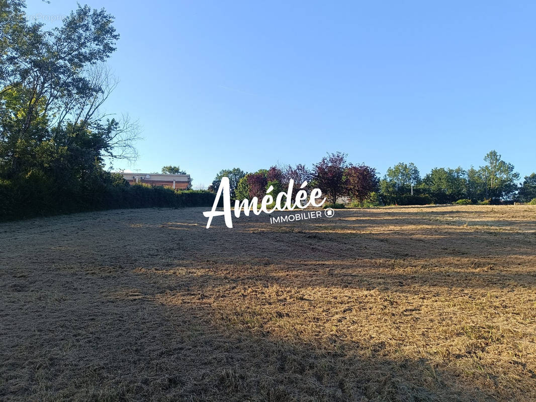 Terrain à MONTAUBAN