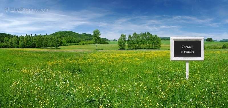 Terrain à LANDELEAU