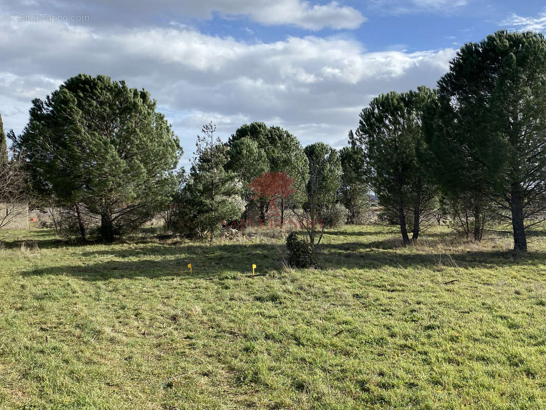 Terrain à SAINT-ANDRE-DE-SANGONIS