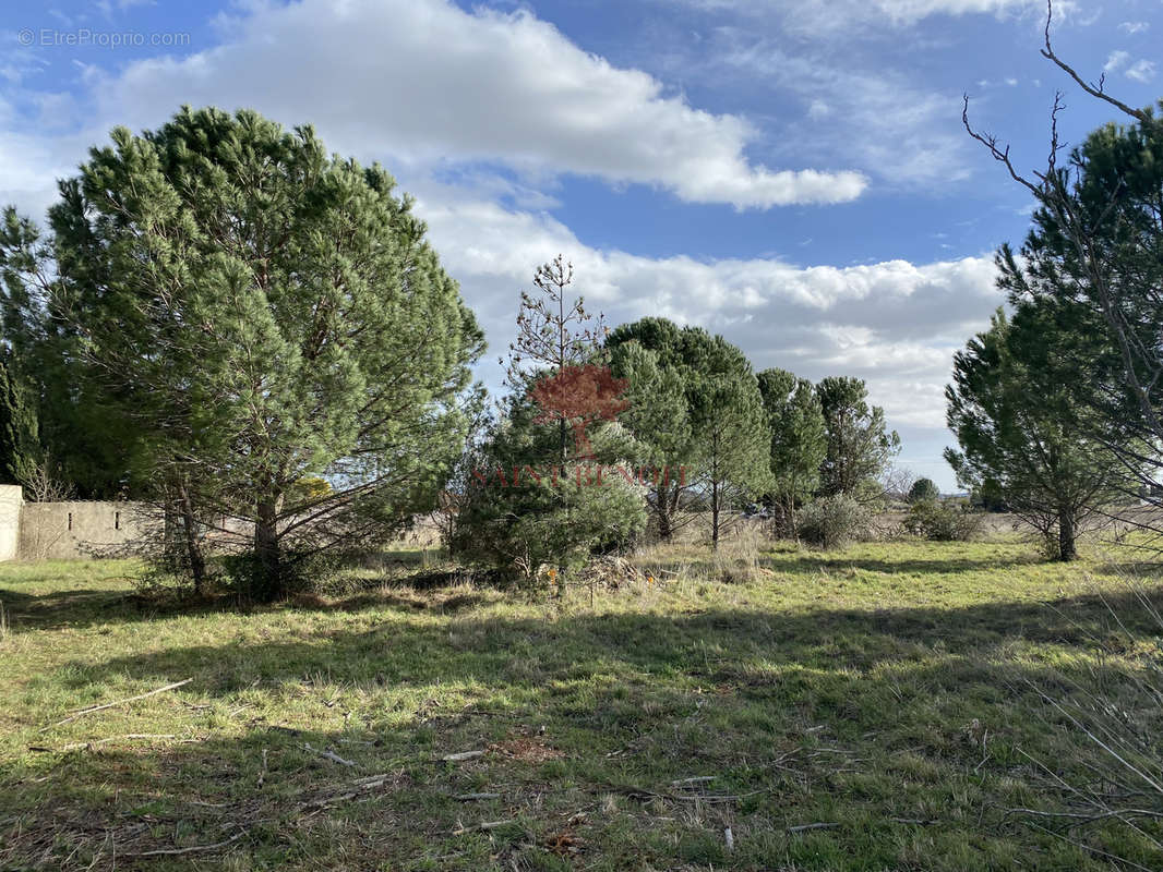 Terrain à SAINT-ANDRE-DE-SANGONIS