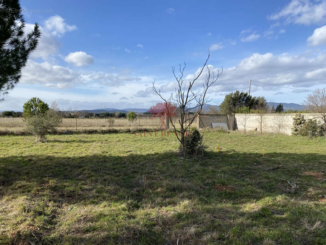 Terrain à SAINT-ANDRE-DE-SANGONIS