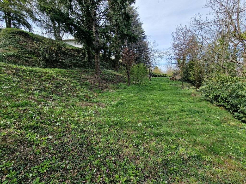 Terrain à SAINT-ETIENNE