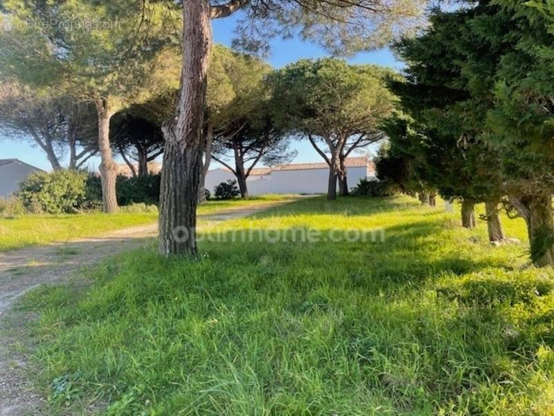 Terrain à LE BOIS-PLAGE-EN-RE