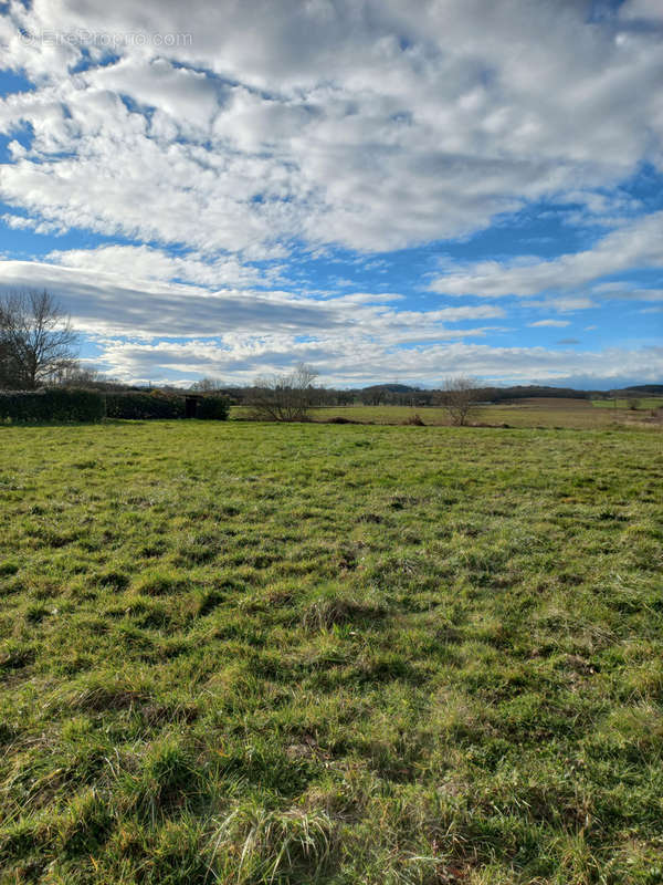 Terrain à TRIE-SUR-BAISE