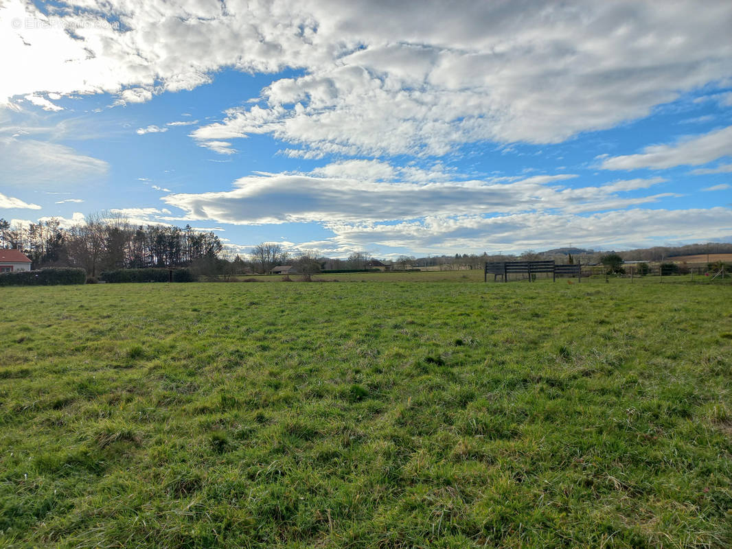 Terrain à TRIE-SUR-BAISE