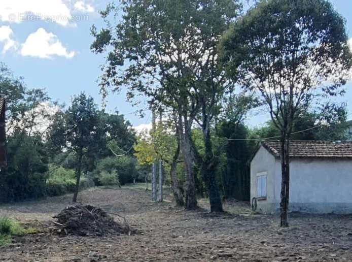 Terrain à SAINT-LYS