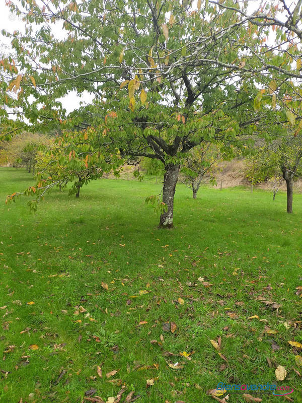 Terrain à SAINT-JULIEN-L&#039;ARS