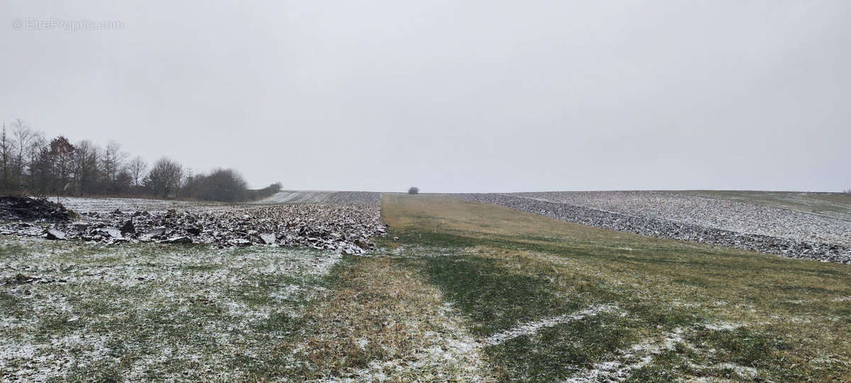 Terrain à DIEMERINGEN