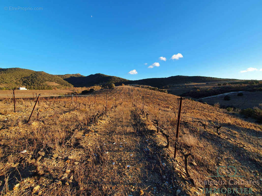 Terrain à MONTNER