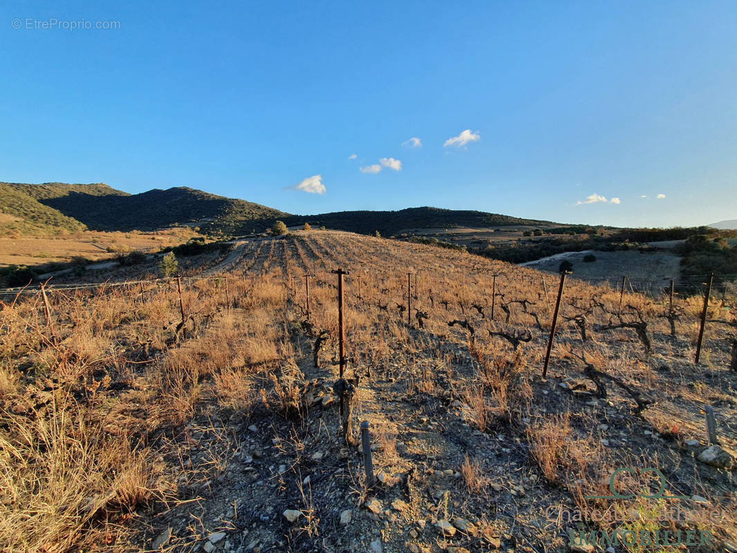 Terrain à MONTNER