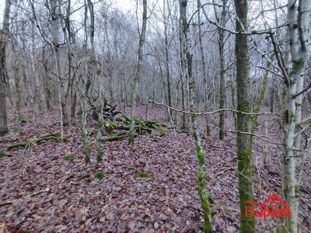 Terrain à BOGNY-SUR-MEUSE