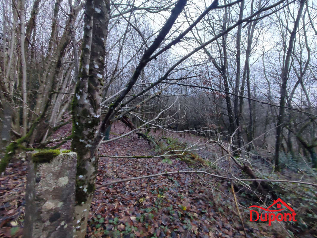 Terrain à BOGNY-SUR-MEUSE