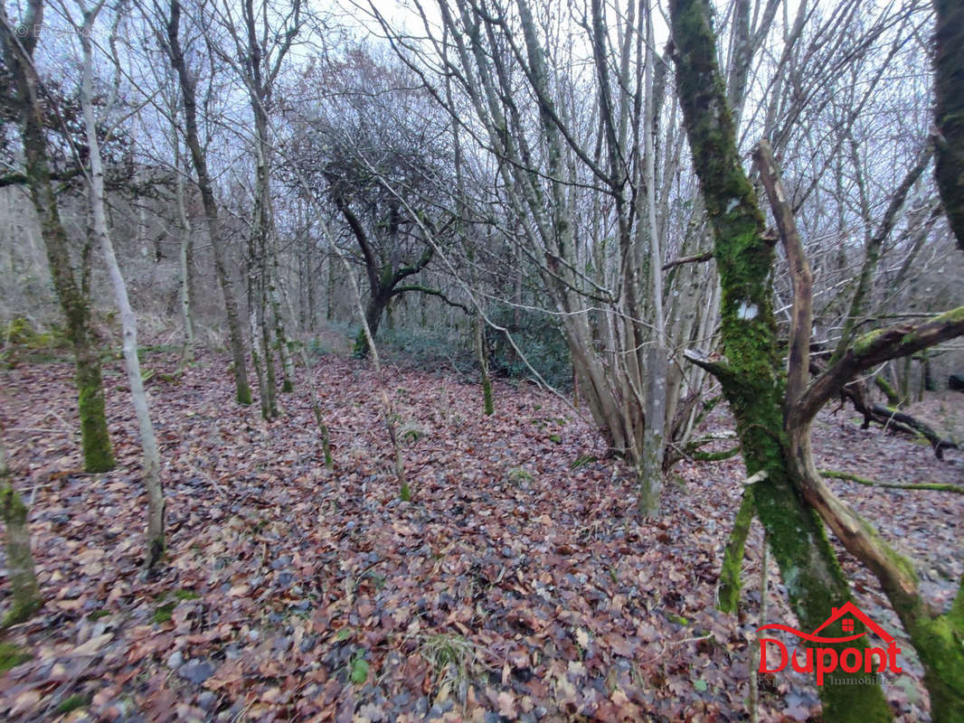 Terrain à BOGNY-SUR-MEUSE