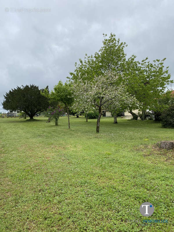 Terrain à LAMARQUE