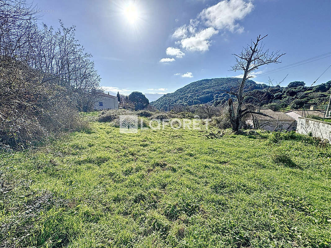 Terrain à PILA-CANALE