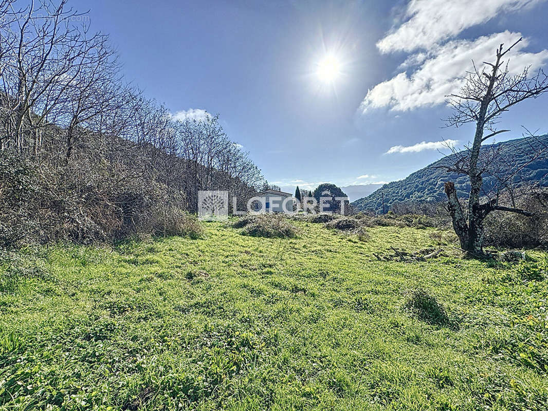 Terrain à PILA-CANALE