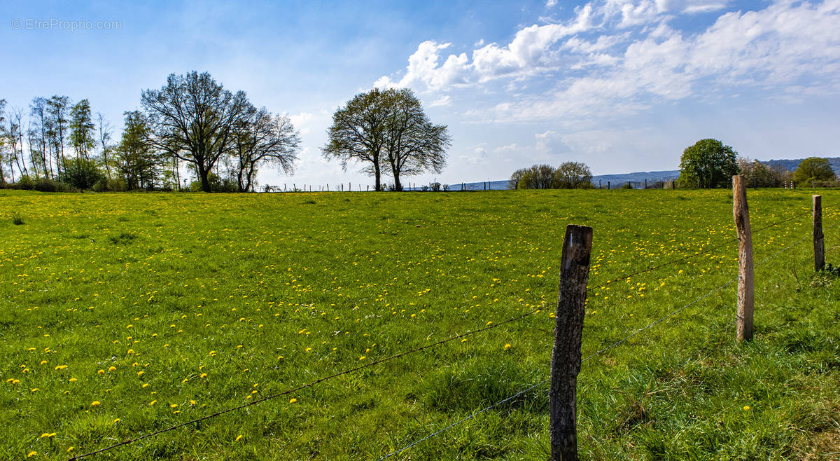 Terrain à SAINT-CLAIR