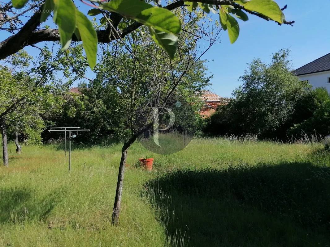 Terrain à VERRIERES-LE-BUISSON