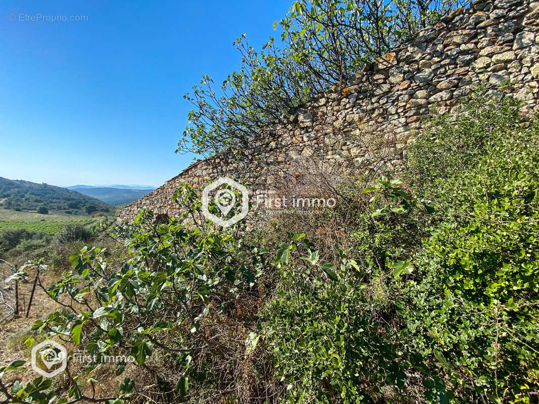 Terrain à BELESTA