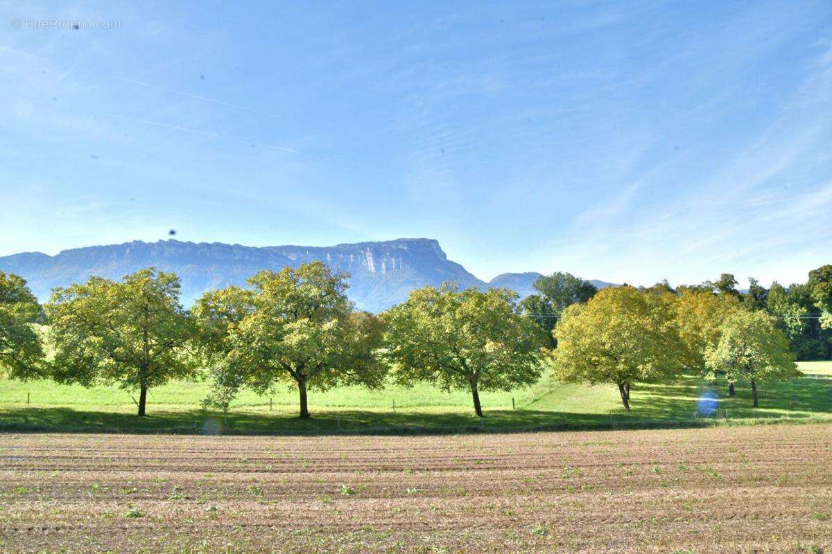 Terrain à LAISSAUD