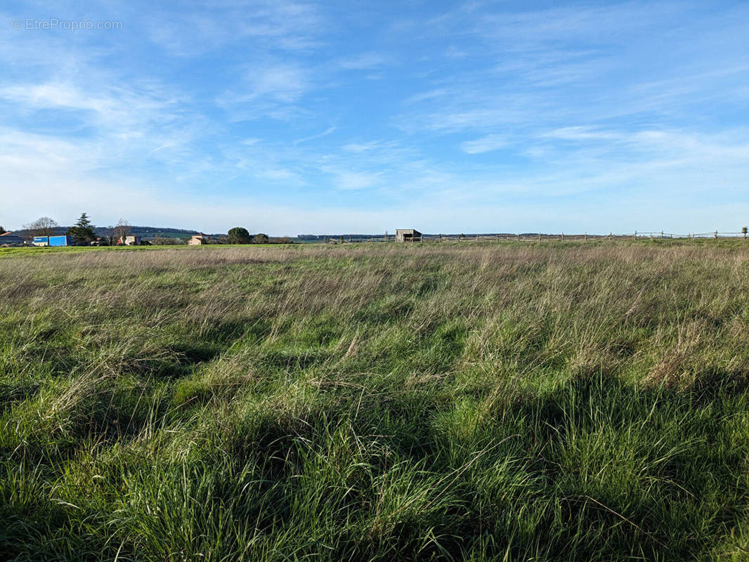 Terrain à JAUNAY-CLAN